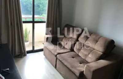 Apartamento com 2 dormitórios á venda no parque mandaqui