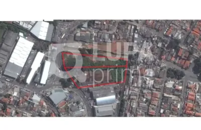 Terreno comercial para alugar na Estrada Turística do Jaraguá, 840, Vila Jaraguá, São Paulo