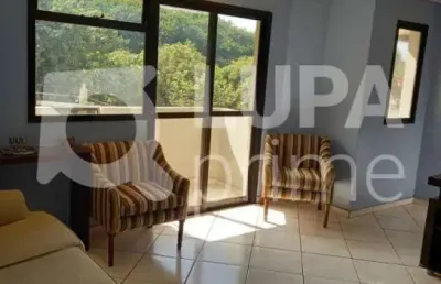 Apartamento com 3 dormitórios sendo 1 suíte á venda no parque novo mundo