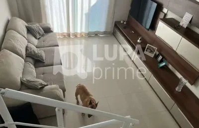 Casa com 3 quartos à venda na Rua Turiuba, 134, Jardim Franca, São Paulo