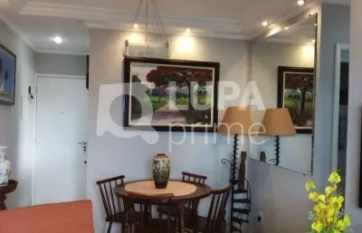 Apartamento 58m² 2 dormitórios 1 vaga a venda mandaqui
