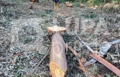Terreno, em condomínio fechado, de 1575m² à venda, em mairiporã