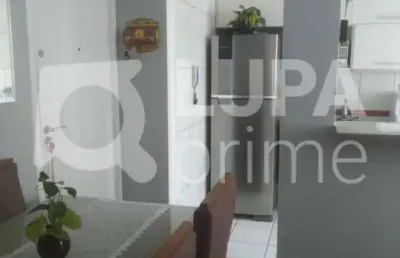 Apartamento com 2 dormitórios á venda no parque novo mundo