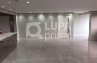 Apartamento à venda com 4 dormitórios na vila albetina!