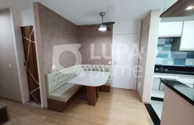 Apartamento com 2 dormitórios à venda na vila maria