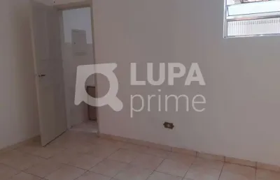 Apartamento 1 dormitório para locação - jardim frança