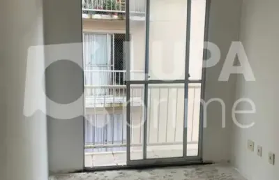 Apartamento com 2 dormitórios á venda na vila amalia