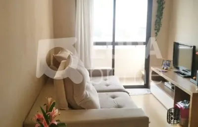 Apartamento com 2 dormitórios à venda no parque mandaqui