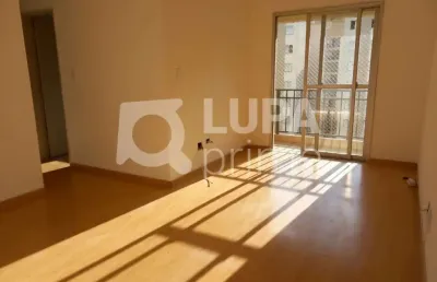 Apartamento com 3 dormitórios de 75m² à venda, na vila guilherme
