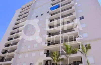 Apartamento com 3 dormitórios à venda na vila guilherme!