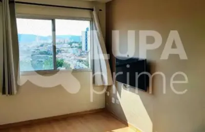 Apartamento com 2 dormitórios á venda na lauzane paulista