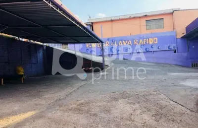 Terreno com 700 metros para locação na pedra branca
