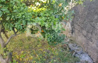 Casa térrea com 3 quartos e 3 vagas de garagem á venda na vila maria alta
