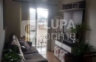 Apartamento com 2 quartos à venda na Rua Jesuíno Rabello, 253, Vila Milton, Guarulhos