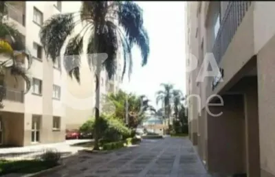 Apartamento com 3 dormitórios á venda na vila guilherme