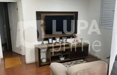 Apartamento com 2 quartos para venda, vila guilherme, são paulo