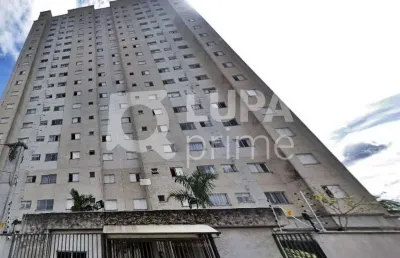 Apartamento com 2 quartos e 1 vaga para venda, jaçanã, são paulo