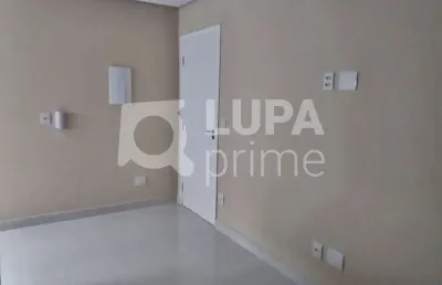 Apartamento com 3 quartos para locação, vila maria alta, são paulo