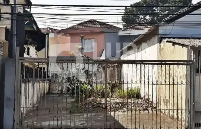 Terreno comercial com 117m² para locação no parque novo mundo