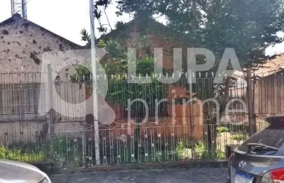 Terreno residencial com 390m² à venda na vila maria