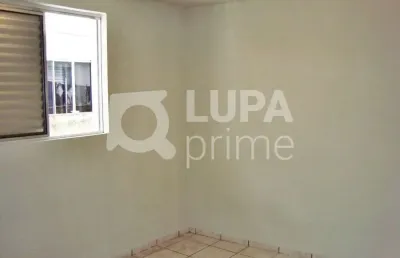 Casa com 1 quarto para alugar na Rua Alves Cardoso, 194, Vila Maria Alta, São Paulo