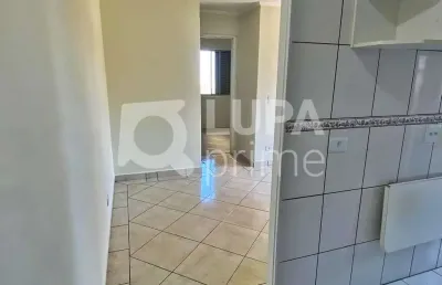 Apartamento com 2 quartos e 1 vaga de garagem à venda na vila guilherme