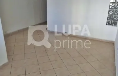 Apartamento com 1 quarto para locação na vila maria