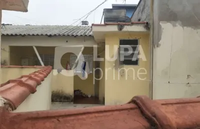 Terreno com 850m² e 4 casas para venda, vila maria baixa, são paulo