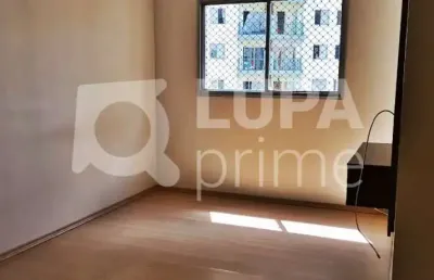 Apartamento com 2 quartos 1 vaga para venda, santana, são paulo