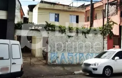 Casa com 5 quartos à venda na Rua José Antônio da Silva, 38, Vila Sabrina, São Paulo