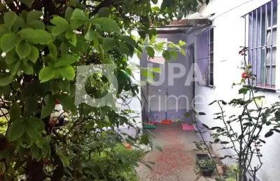 Casa térrea com 5 quartos e 2 vagas para venda, vila maria, são paulo