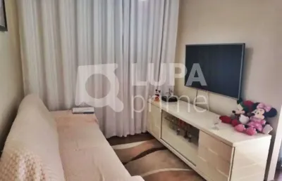 Apartamento com 3 quartos para venda, freguesia do ó, são paulo