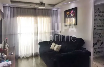 Apartamento com 2 quartos para venda, parada inglesa, são paulo