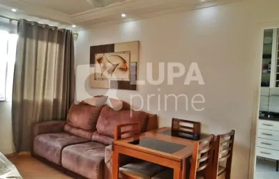 Apartamento com 3 quartos para venda, vila constança, são paulo