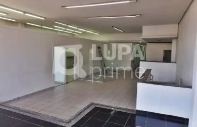 Sobreloja com 440m² para locação, vila maria baixa, são paulo