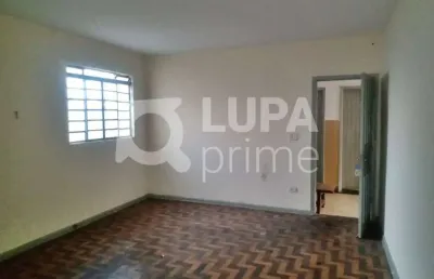 Apartamento com 2 quartos para locação, vila maria, são paulo