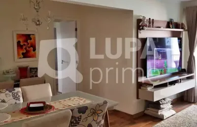 Apartamento com 3 quartos para venda, alto da mooca, são paulo