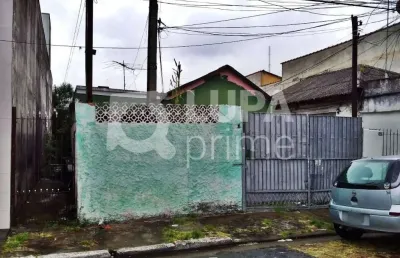 Casa térrea para renda, vila maria baixa, são paulo