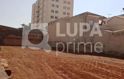 Terreno residencial com 800m²  para venda, vila guilherme, são paulo