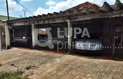 Terreno residencial com 339m² para venda, vila maria alta, são paulo