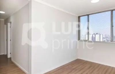Apartamento com 3 quartos para venda, parque novo mundo, são paulo