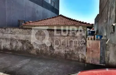 Terreno residencial com 182m² para venda, vila medeiros, são paulo