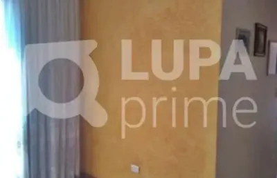Apartamento com 3 quartos para venda, vila guilherme, são paulo