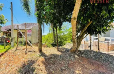 Terreno à venda, 350 m² por r$ 86.000,00 - campestre - são leopoldo/rs
