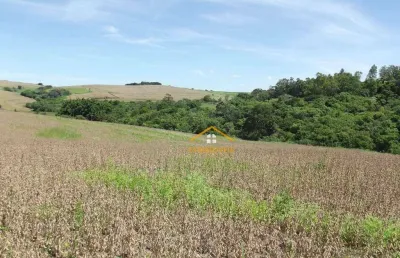 Fazenda à venda, 145200 m² por r$ 1.500.000 - monte verde - santo antônio da platina/pr