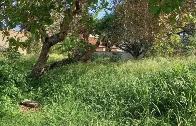 Excelente terreno na rua dos babaçus em itaúna - saquarema - rj.