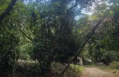 Área de quase 8 mil m2 podendo desmatar até 60 por cento da área.