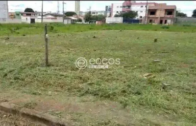 Terreno à venda na Avenida Doutor Vicente Salles Guimarães, --, Alto Umuarama, Uberlândia