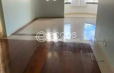 Apartamento à venda, 3 quartos, 3 suítes, 2 vagas, fundinho - uberlândia/mg
