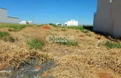 Terreno para aluguel, alto umuarama - uberlândia/mg